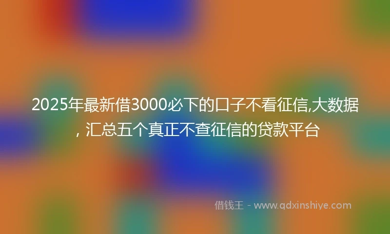 2025年最新借3000必下的口子不看征信,大数据，汇总五个真正不查征信的贷款平台
