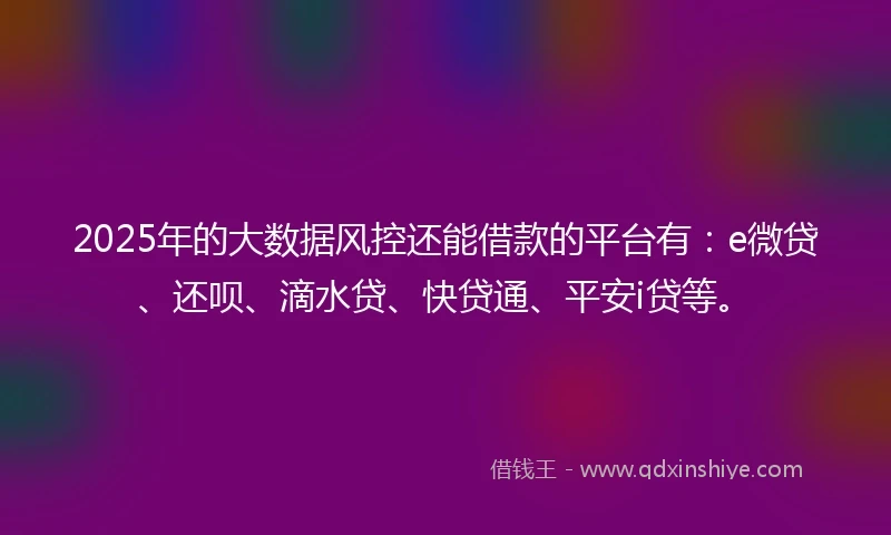 2025年的大数据风控还能借款的平台有：e微贷、还呗、滴水贷、快贷通、平安i贷等。