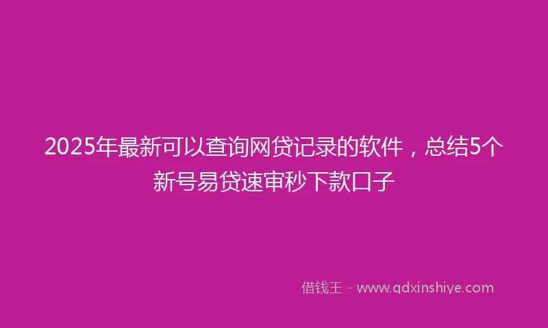 2025年最新可以查询网贷记录的软件，总结5个新号易贷速审秒下款口子