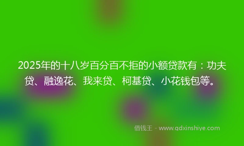 2025年的十八岁百分百不拒的小额贷款有：功夫贷、融逸花、我来贷、柯基贷、小花钱包等。
