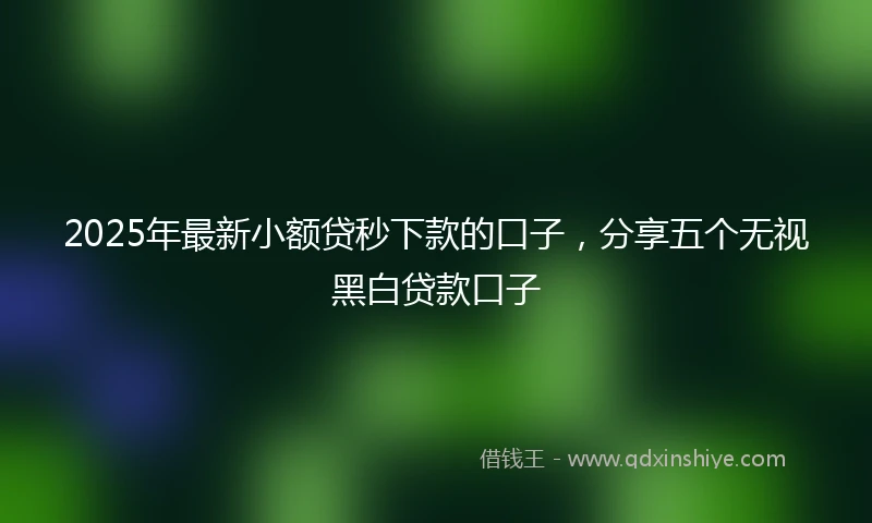 2025年最新小额贷秒下款的口子，分享五个无视黑白贷款口子