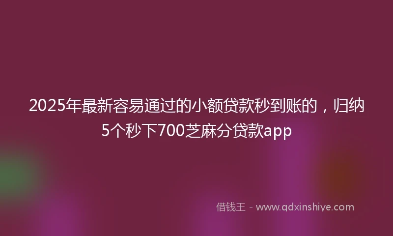 2025年最新容易通过的小额贷款秒到账的，归纳5个秒下700芝麻分贷款app