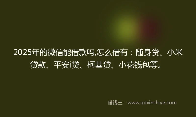 2025年的微信能借款吗,怎么借有：随身贷、小米贷款、平安i贷、柯基贷、小花钱包等。