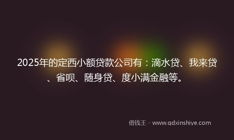2025年的定西小额贷款公司有：滴水贷、我来贷、省呗、随身贷、度小满金融等。
