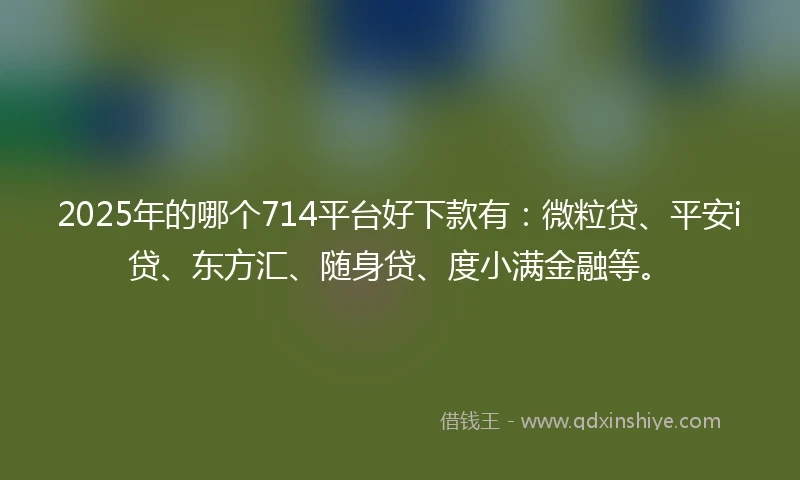 2025年的哪个714平台好下款有：微粒贷、平安i贷、东方汇、随身贷、度小满金融等。