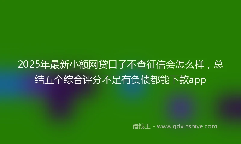 2025年最新小额网贷口子不查征信会怎么样，总结五个综合评分不足有负债都能下款app