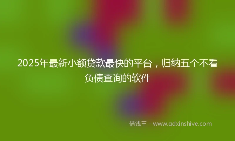 2025年最新小额贷款最快的平台，归纳五个不看负债查询的软件