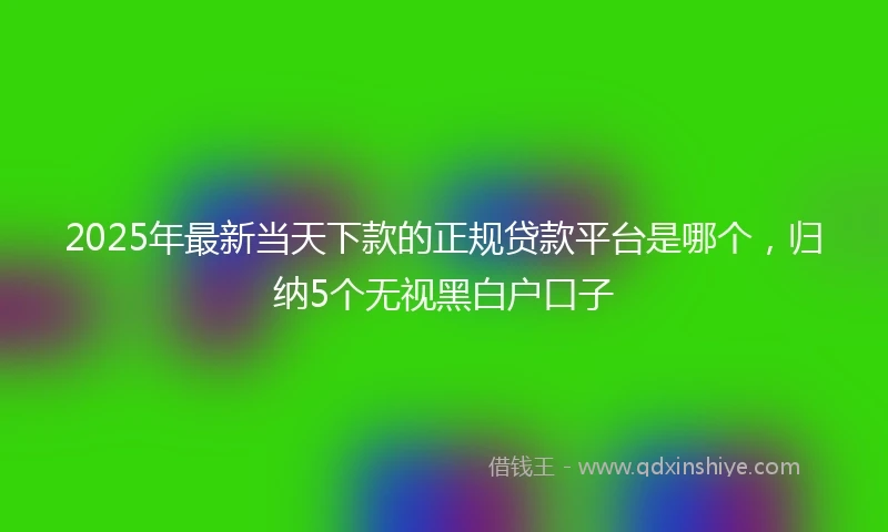 2025年最新当天下款的正规贷款平台是哪个，归纳5个无视黑白户口子
