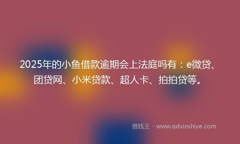 2025年的小鱼借款逾期会上法庭吗有：e微贷、团贷网、小米贷款、超人卡、拍拍贷等。