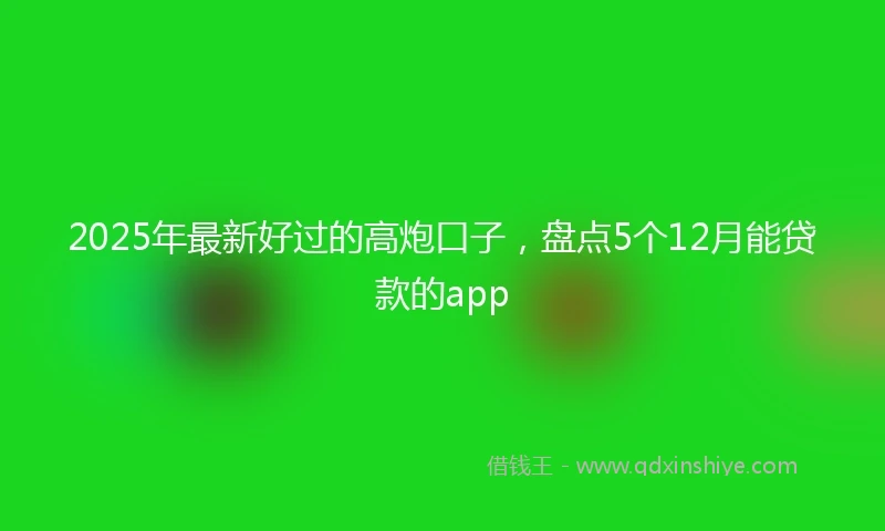 2025年最新好过的高炮口子，盘点5个12月能贷款的app