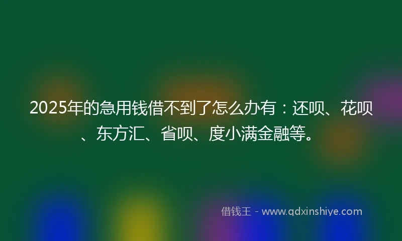 2025年的急用钱借不到了怎么办有：还呗、花呗、东方汇、省呗、度小满金融等。