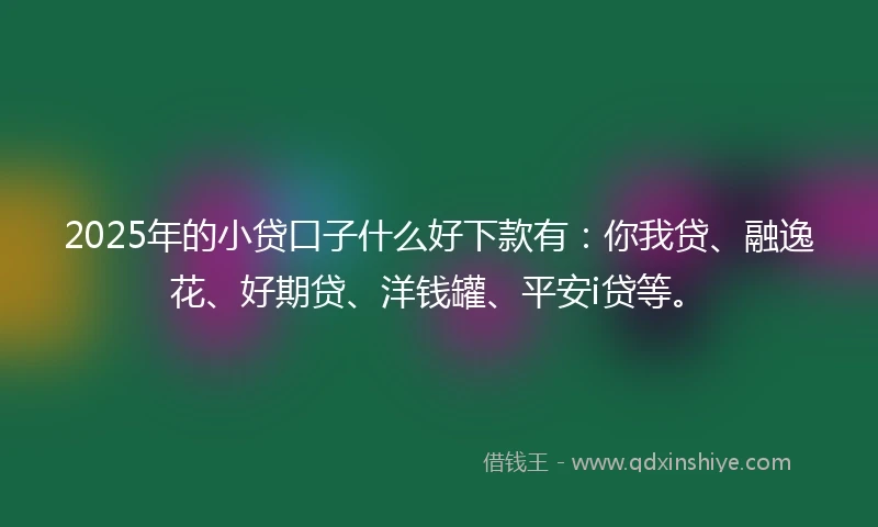 2025年的小贷口子什么好下款有：你我贷、融逸花、好期贷、洋钱罐、平安i贷等。