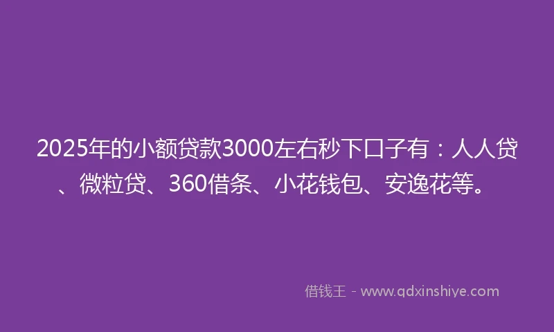 2025年的小额贷款3000左右秒下口子有：人人贷、微粒贷、360借条、小花钱包、安逸花等。