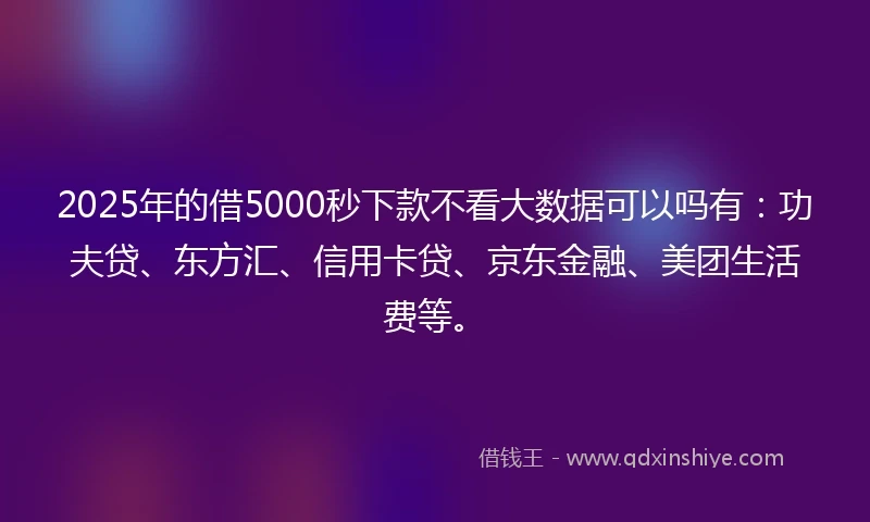 2025年的借5000秒下款不看大数据可以吗有：功夫贷、东方汇、信用卡贷、京东金融、美团生活费等。