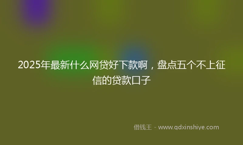2025年最新什么网贷好下款啊，盘点五个不上征信的贷款口子