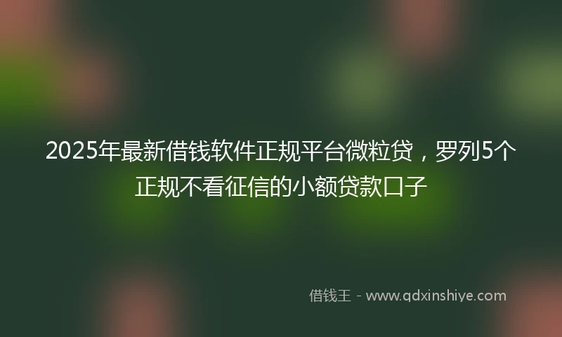 2025年最新借钱软件正规平台微粒贷，罗列5个正规不看征信的小额贷款口子