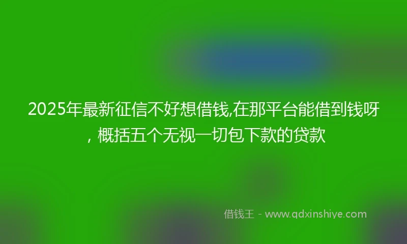 2025年最新征信不好想借钱,在那平台能借到钱呀，概括五个无视一切包下款的贷款