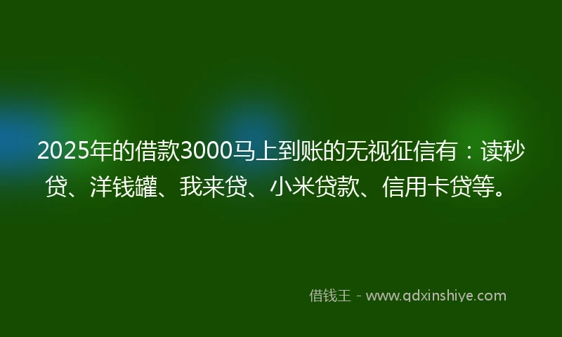 2025年的借款3000马上到账的无视征信有：读秒贷、洋钱罐、我来贷、小米贷款、信用卡贷等。