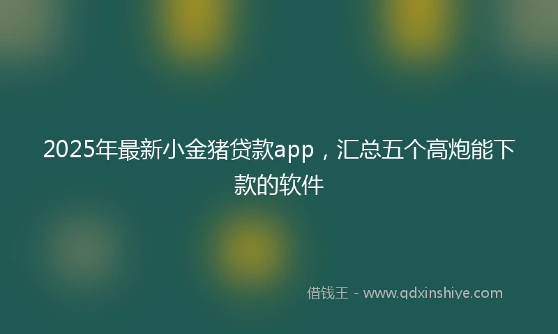 2025年最新小金猪贷款app，汇总五个高炮能下款的软件