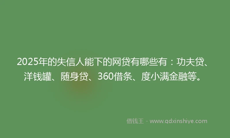 2025年的失信人能下的网贷有哪些有：功夫贷、洋钱罐、随身贷、360借条、度小满金融等。
