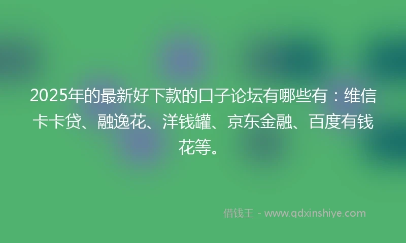 2025年的最新好下款的口子论坛有哪些有：维信卡卡贷、融逸花、洋钱罐、京东金融、百度有钱花等。