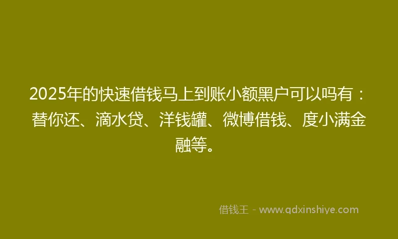 2025年的快速借钱马上到账小额黑户可以吗有：替你还、滴水贷、洋钱罐、微博借钱、度小满金融等。