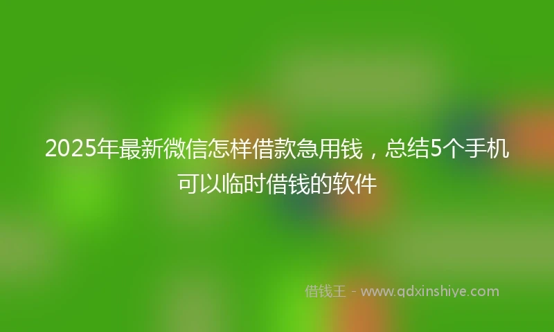 2025年最新微信怎样借款急用钱，总结5个手机可以临时借钱的软件