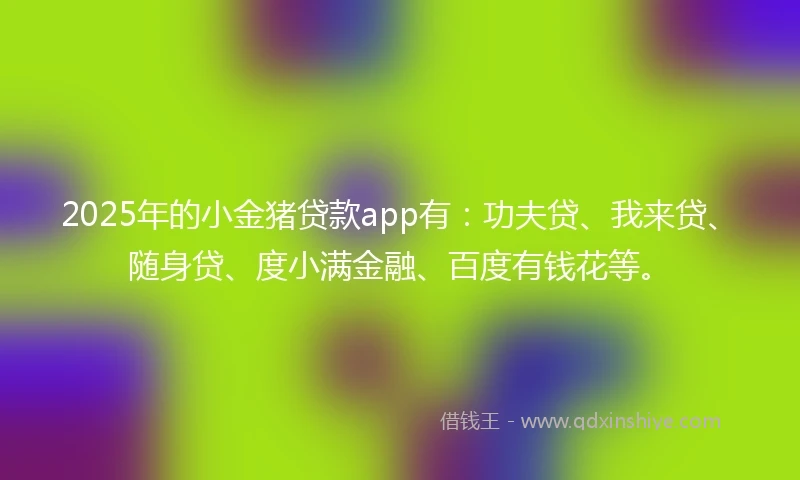 2025年的小金猪贷款app有：功夫贷、我来贷、随身贷、度小满金融、百度有钱花等。
