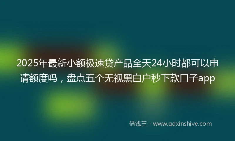 2025年最新小额极速贷产品全天24小时都可以申请额度吗，盘点五个无视黑白户秒下款口子app