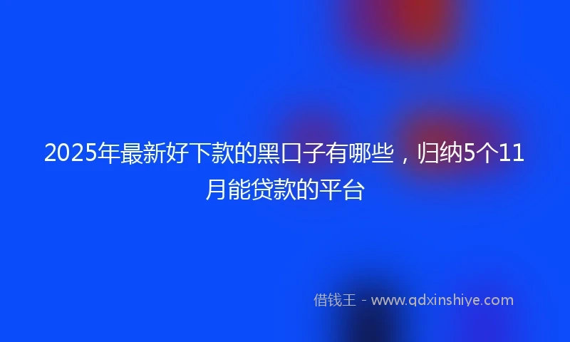 2025年最新好下款的黑口子有哪些，归纳5个11月能贷款的平台