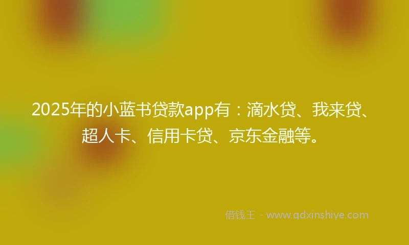 2025年的小蓝书贷款app有：滴水贷、我来贷、超人卡、信用卡贷、京东金融等。