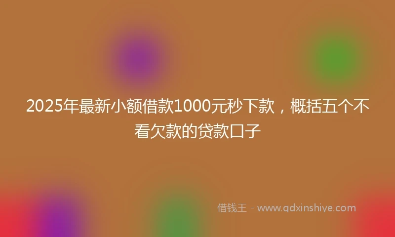 2025年最新小额借款1000元秒下款，概括五个不看欠款的贷款口子