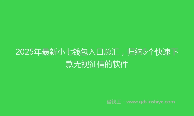 2025年最新小七钱包入口总汇，归纳5个快速下款无视征信的软件