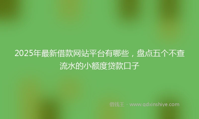 2025年最新借款网站平台有哪些，盘点五个不查流水的小额度贷款口子