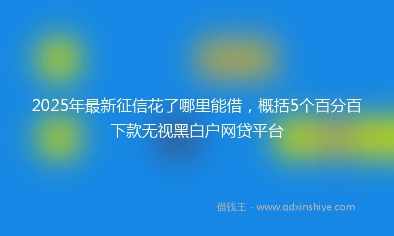 2025年最新征信花了哪里能借，概括5个百分百下款无视黑白户网贷平台