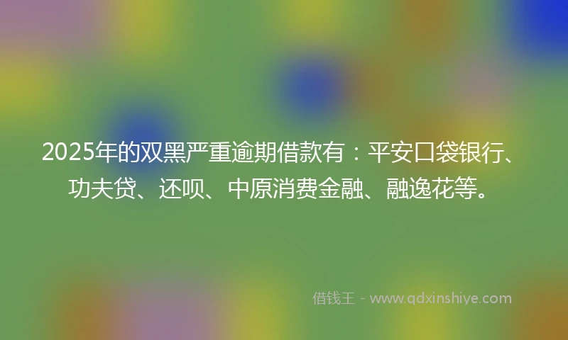 2025年的双黑严重逾期借款有：平安口袋银行、功夫贷、还呗、中原消费金融、融逸花等。