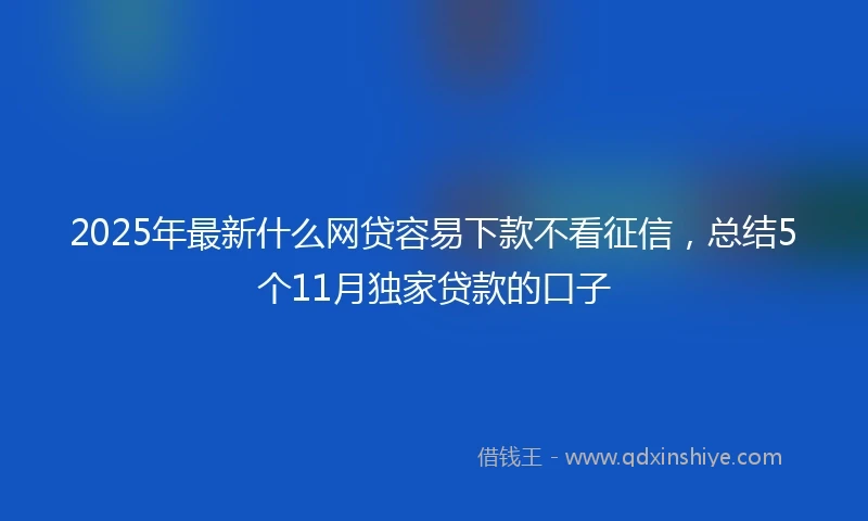 2025年最新什么网贷容易下款不看征信，总结5个11月独家贷款的口子