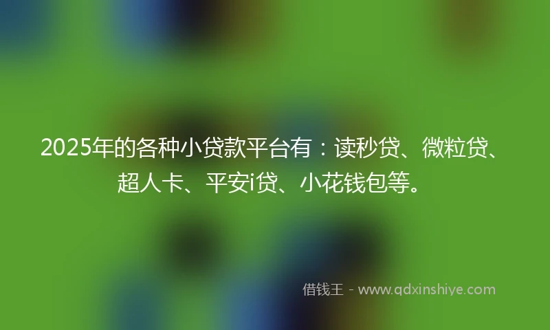 2025年的各种小贷款平台有：读秒贷、微粒贷、超人卡、平安i贷、小花钱包等。