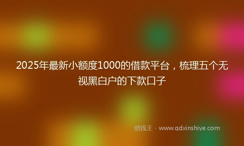 2025年最新小额度1000的借款平台，梳理五个无视黑白户的下款口子
