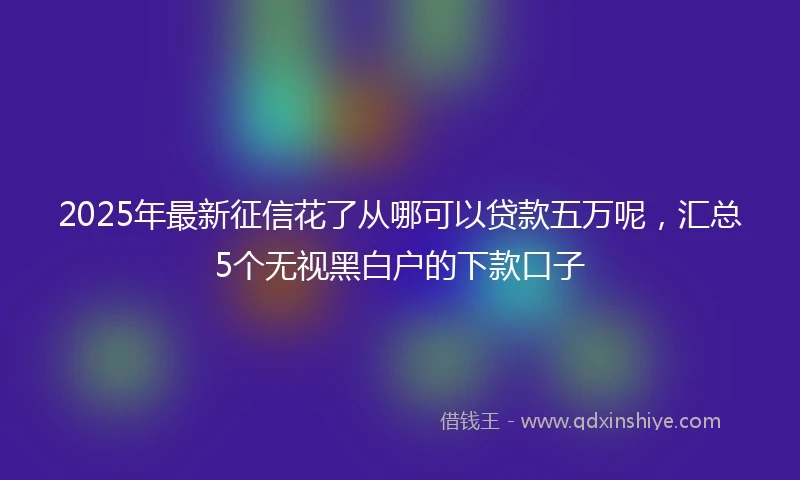 2025年最新征信花了从哪可以贷款五万呢，汇总5个无视黑白户的下款口子