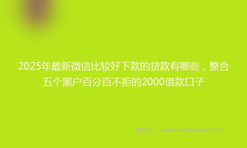 2025年最新微信比较好下款的贷款有哪些，整合五个黑户百分百不拒的2000借款口子