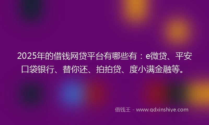2025年的借钱网贷平台有哪些有：e微贷、平安口袋银行、替你还、拍拍贷、度小满金融等。