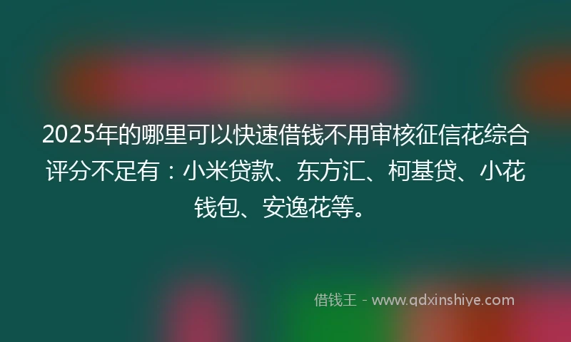 2025年的哪里可以快速借钱不用审核征信花综合评分不足有：小米贷款、东方汇、柯基贷、小花钱包、安逸花等。