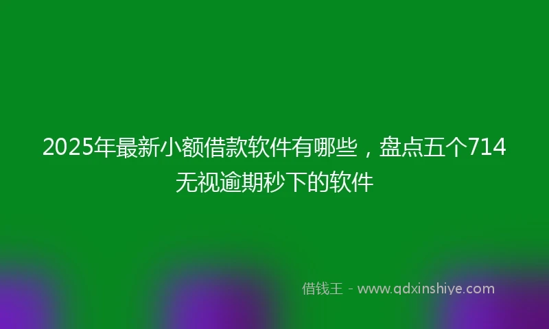 2025年最新小额借款软件有哪些，盘点五个714无视逾期秒下的软件