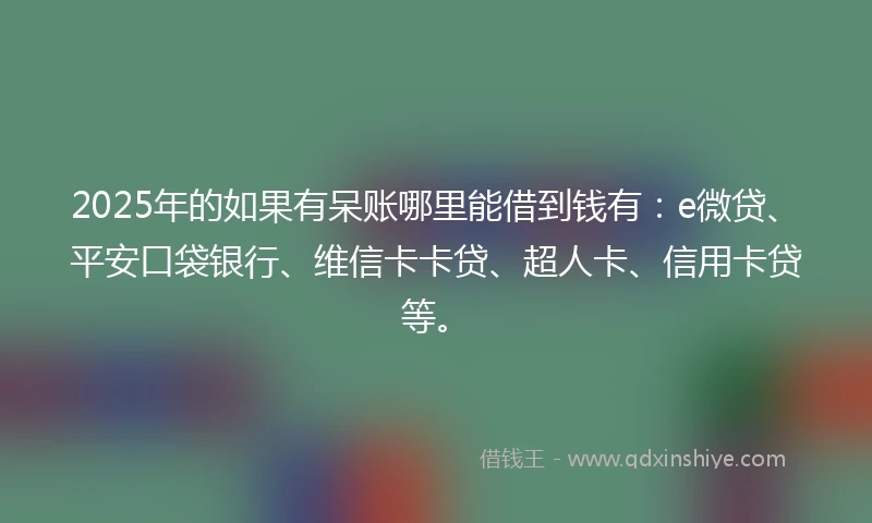 2025年的如果有呆账哪里能借到钱有：e微贷、平安口袋银行、维信卡卡贷、超人卡、信用卡贷等。