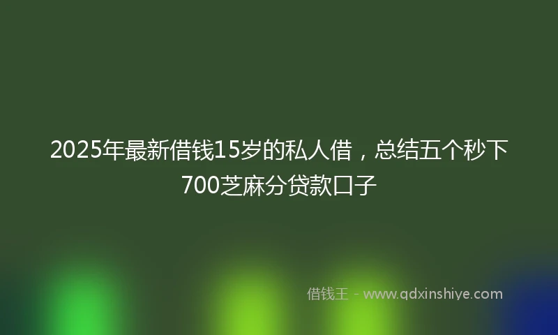 2025年最新借钱15岁的私人借，总结五个秒下700芝麻分贷款口子