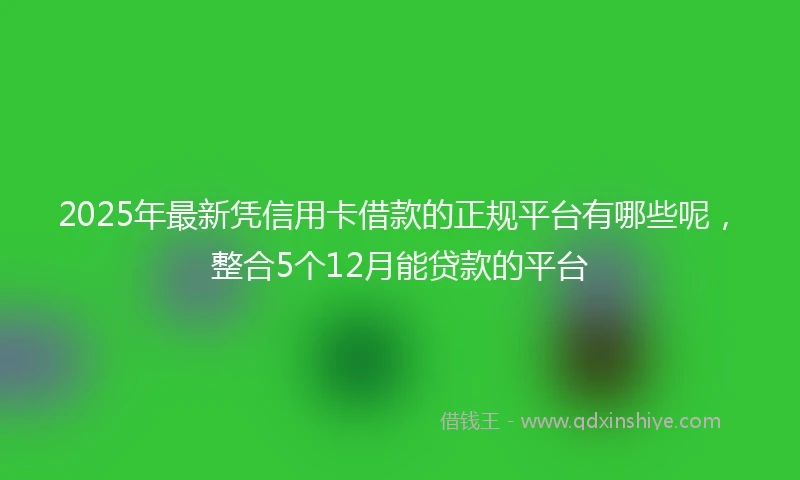 2025年最新凭信用卡借款的正规平台有哪些呢，整合5个12月能贷款的平台