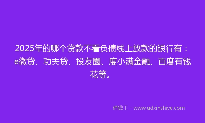 2025年的哪个贷款不看负债线上放款的银行有：e微贷、功夫贷、投友圈、度小满金融、百度有钱花等。