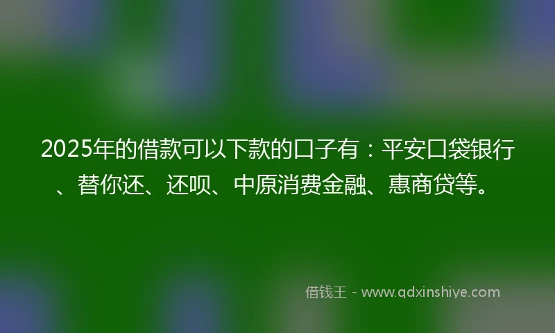 2025年的借款可以下款的口子有：平安口袋银行、替你还、还呗、中原消费金融、惠商贷等。