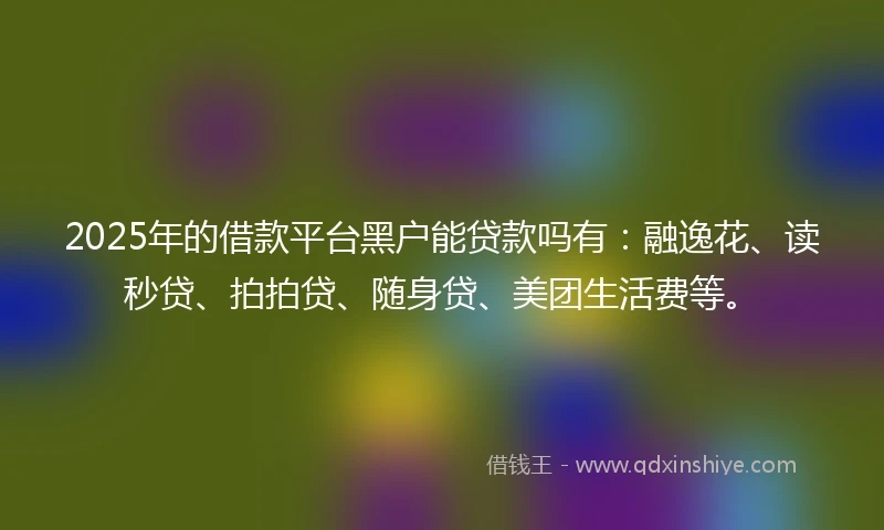 2025年的借款平台黑户能贷款吗有：融逸花、读秒贷、拍拍贷、随身贷、美团生活费等。